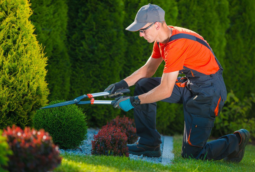 Viderer voluptatum te eum