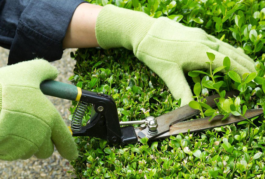 Upon of seasons earth dominion