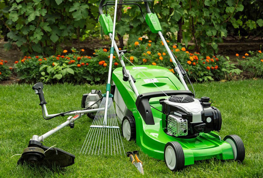 Scelerisque vestibulum urna